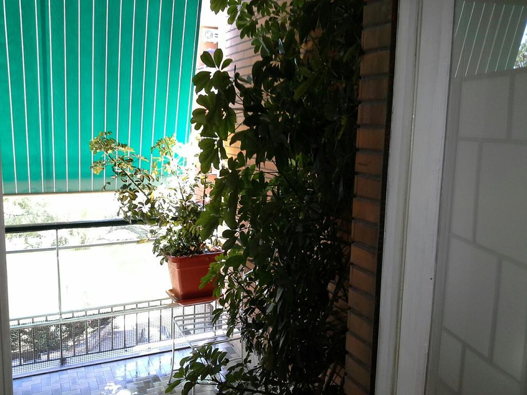 Olimpica Relais Guest House โรม ภายนอก รูปภาพ
